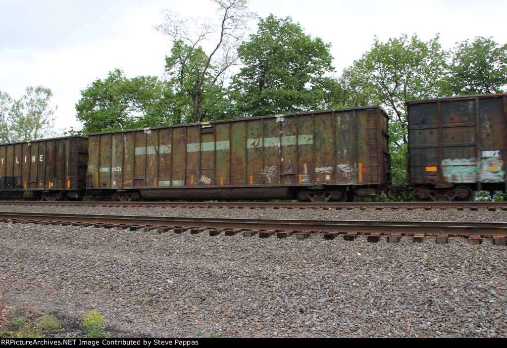 HIRX 11831